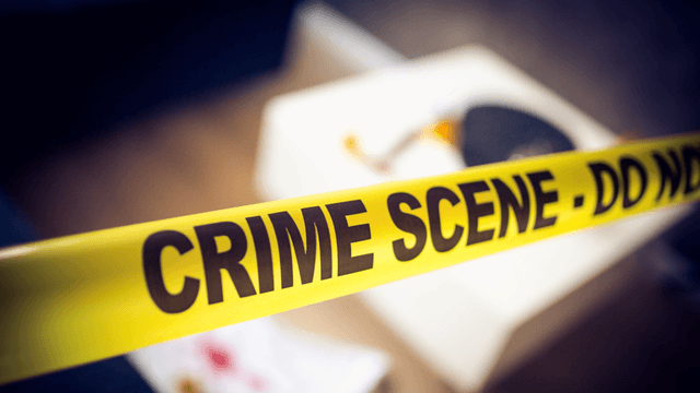 Cluedo : L'affaire Bellerose